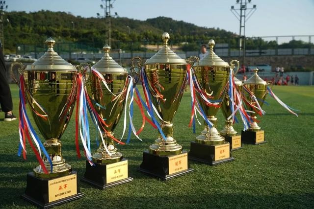 欧冠历史场均进球榜：哈兰德1.05球居首