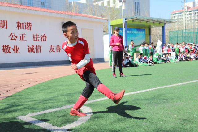 著名主持人曹可凡悼念音乐巨匠刘欢离世